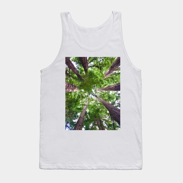 Looking up into Redwood trees Tank Top by ephotocard